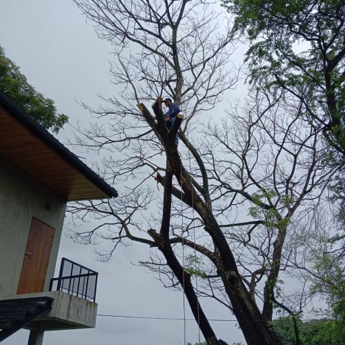 line_oa_chat_250909_162046_group_9
