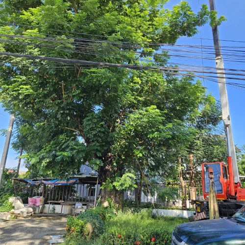 line_oa_chat_250909_162050_group_7