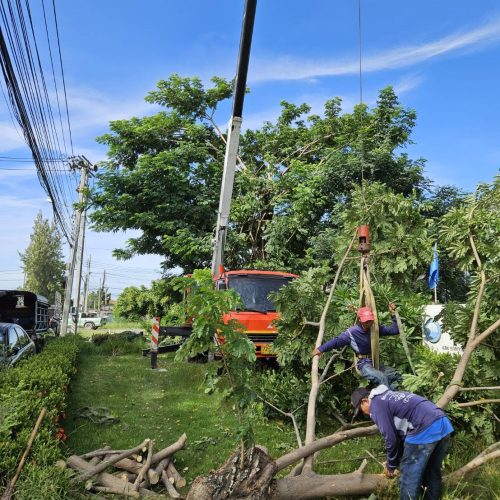 line_oa_chat_250909_162054_group_3